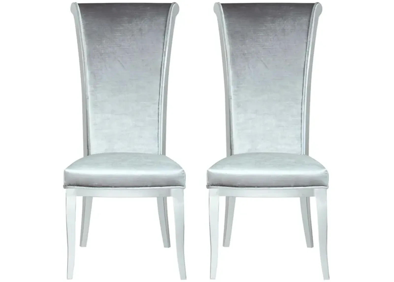 Joy Side Chair - Set of 2 in Gray by Chintaly Imports