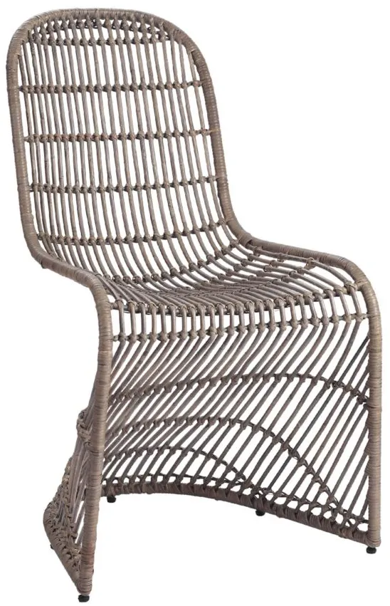 Groovy Dining Chair: Set of 2 in Gray by New Pacific Direct