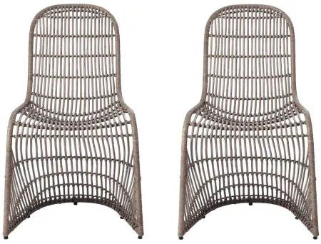 Groovy Dining Chair: Set of 2 in Gray by New Pacific Direct