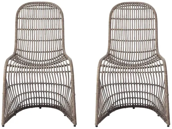 Groovy Dining Chair: Set of 2