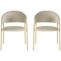 Lara Dining Chair - Set of 2 in Cream by Tov Furniture