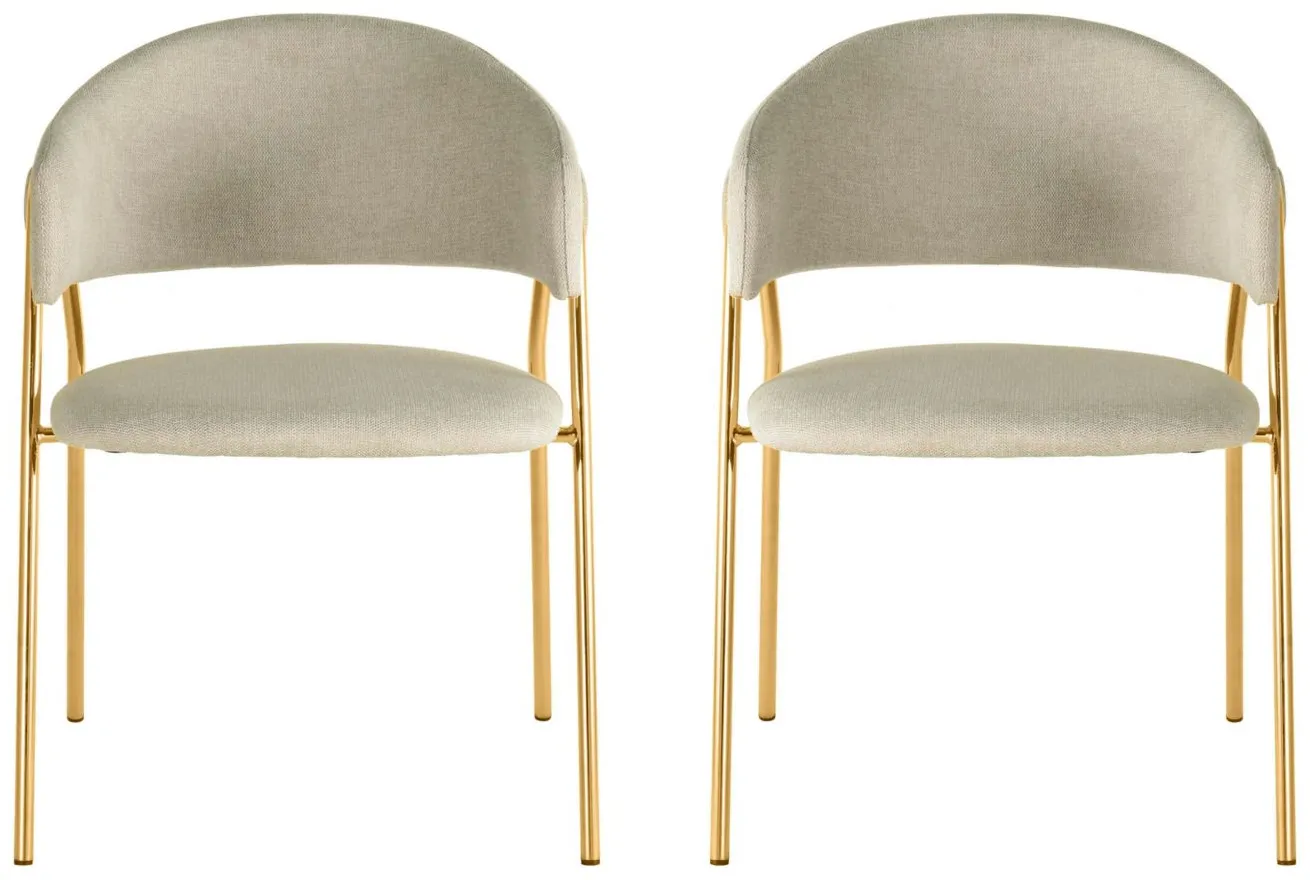 Lara Dining Chair - Set of 2 in Cream by Tov Furniture