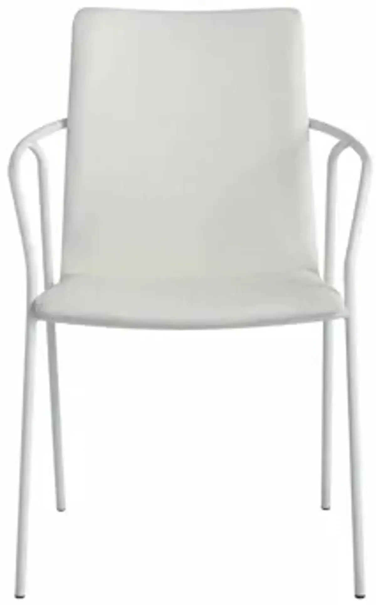 Alicia Arm Chair - Set of 4