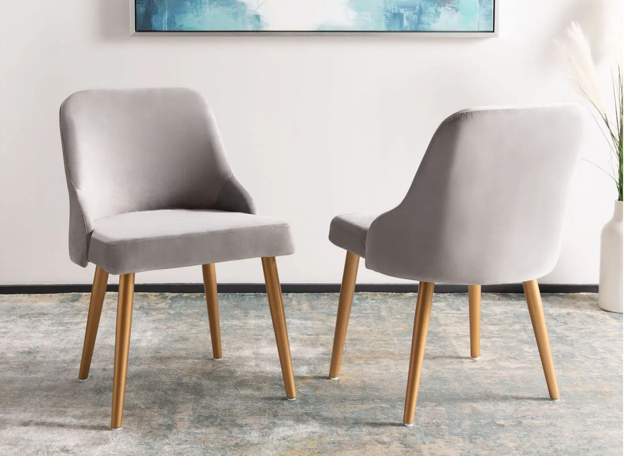 Patty Dining Chair - Set of 2 in Gray by Safavieh