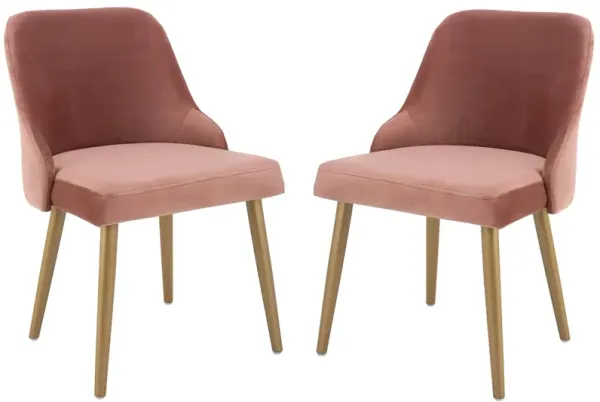 Patty Dining Chair - Set of 2