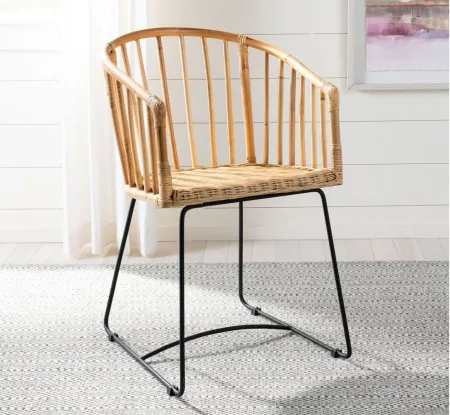 Richland Dining Chair in Natural by Safavieh