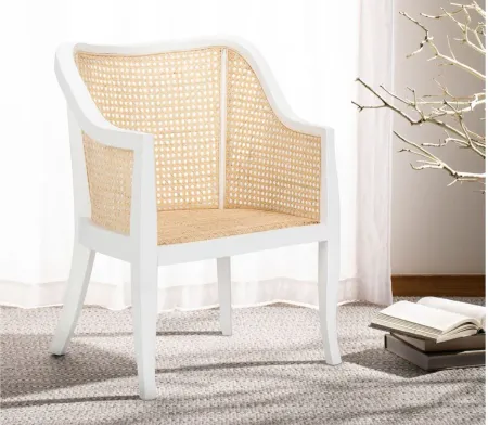 Adal Dining Chair in White by Safavieh