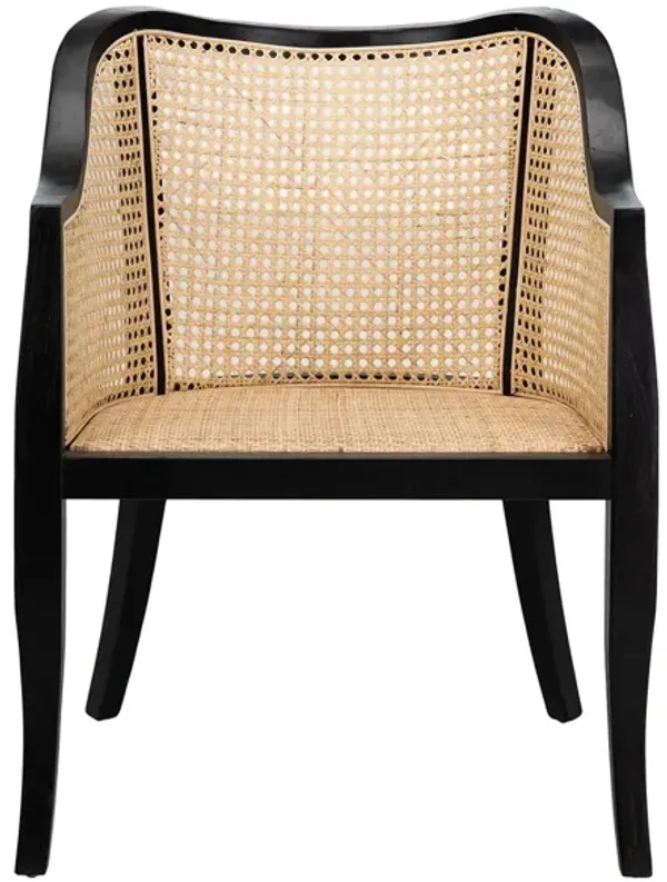Adal Dining Chair
