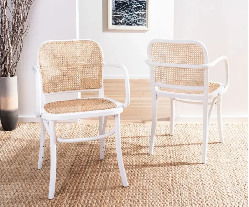 Cris Dining Chair in White by Safavieh