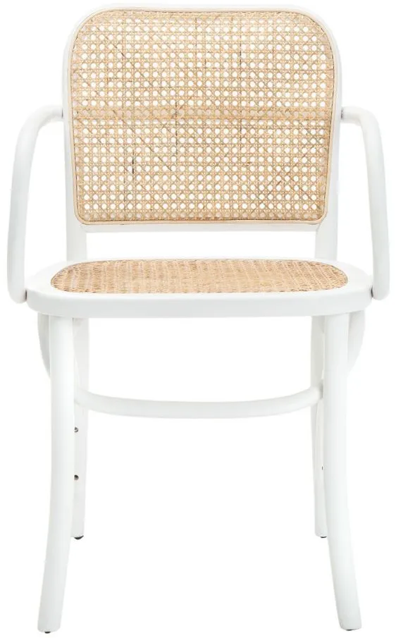 Cris Dining Chair in White by Safavieh