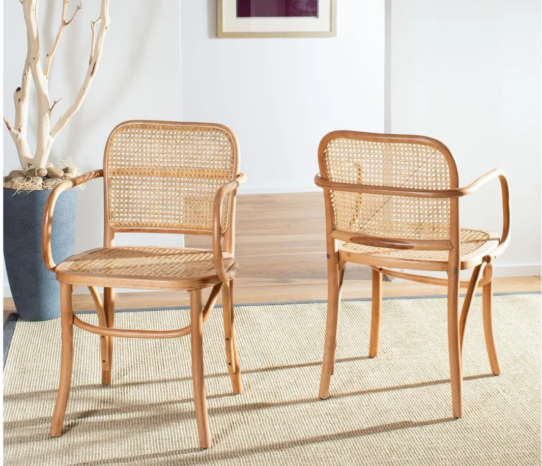 Cris Dining Chair in Natural by Safavieh