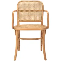 Cris Dining Chair in Natural by Safavieh