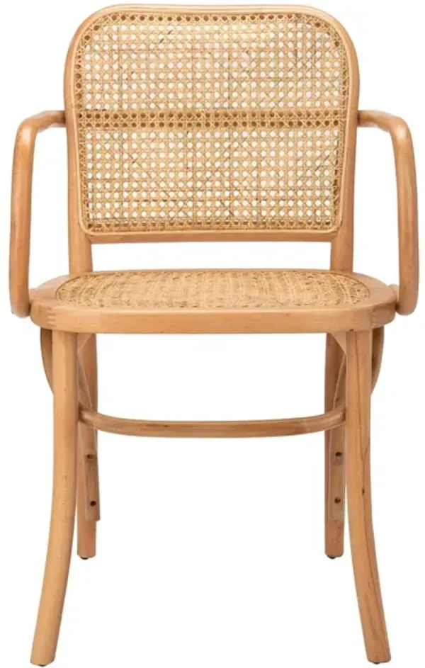 Cris Dining Chair