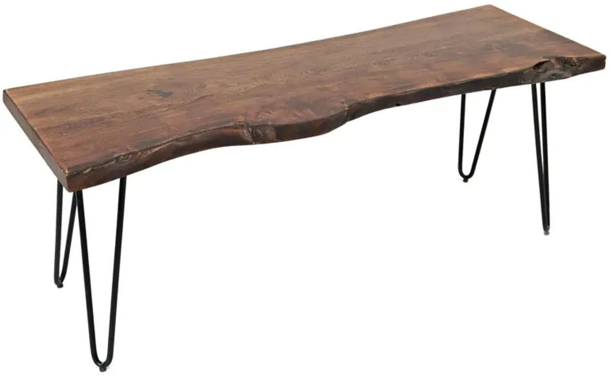 Nature's Live Edge Dining Bench in Rich Brown by Jofran