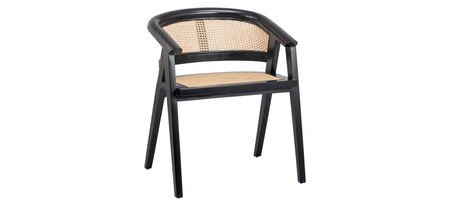 Seine Rattan Dining Chair in Black/Natural by New Pacific Direct