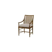 Nova Dining Arm Chair III - Set of 2 in Dusk by Theodore Alexander