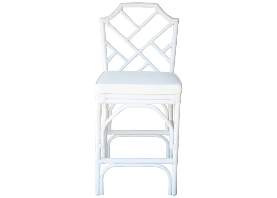 Kara Rattan Counter Stool - Set of 2 in White by New Pacific Direct