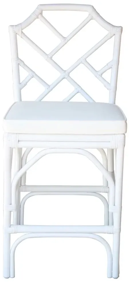 Kara Rattan Counter Stool - Set of 2 in White by New Pacific Direct