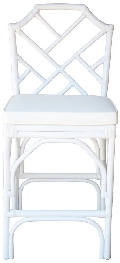 Kara Rattan Counter Stool - Set of 2 in White by New Pacific Direct