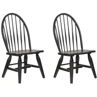Ashford Large Bowback Side Chair Set of 2 in Black by ECI
