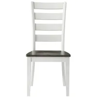 Kona Dining Chair - Set of 2 in Gray and White finish by Intercon