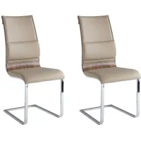 Bethany Side Chairs - Set of 2 in Taupe by Chintaly Imports