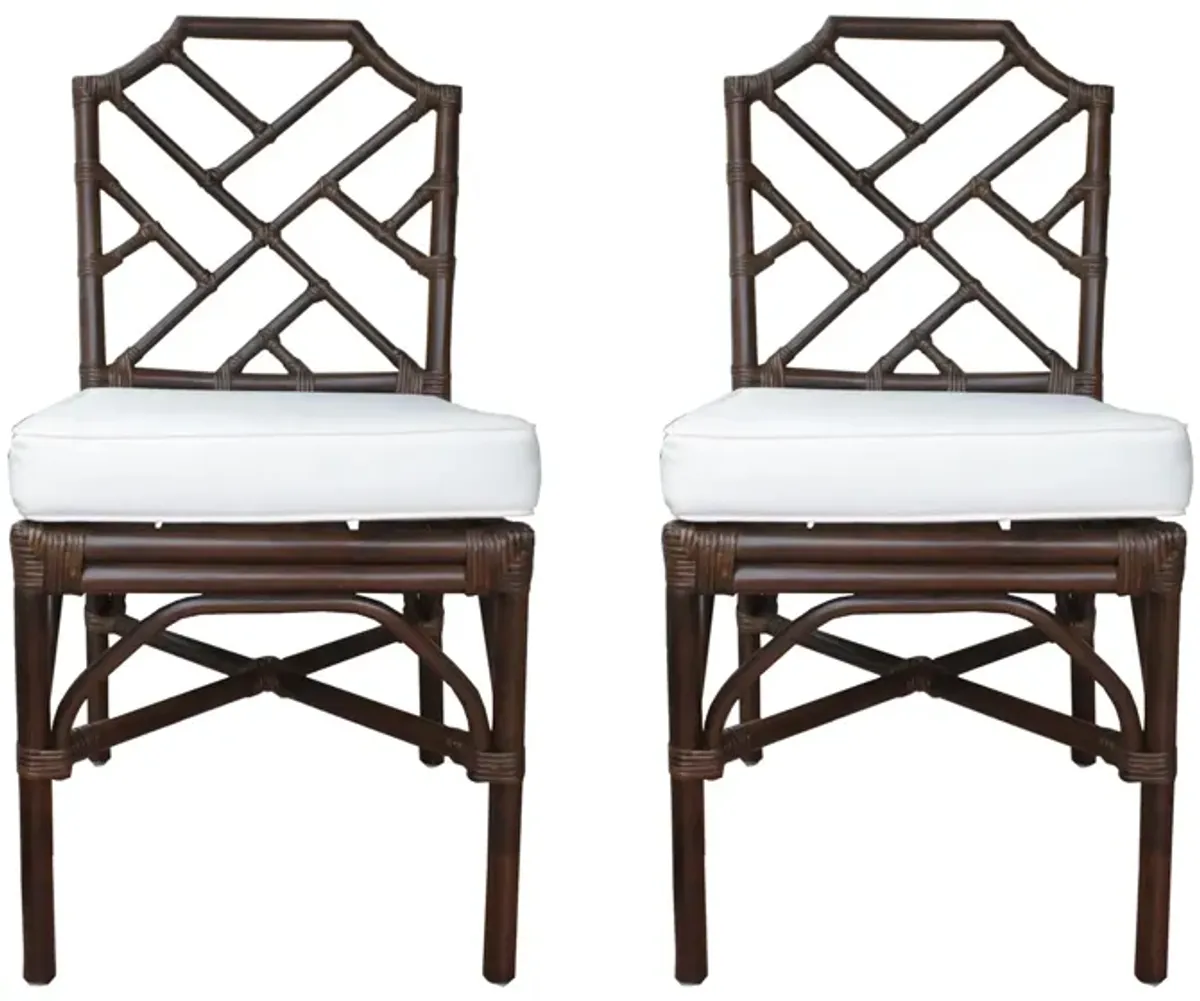 Kara Dining Chair: Set of 2 in Paloma Brown by New Pacific Direct