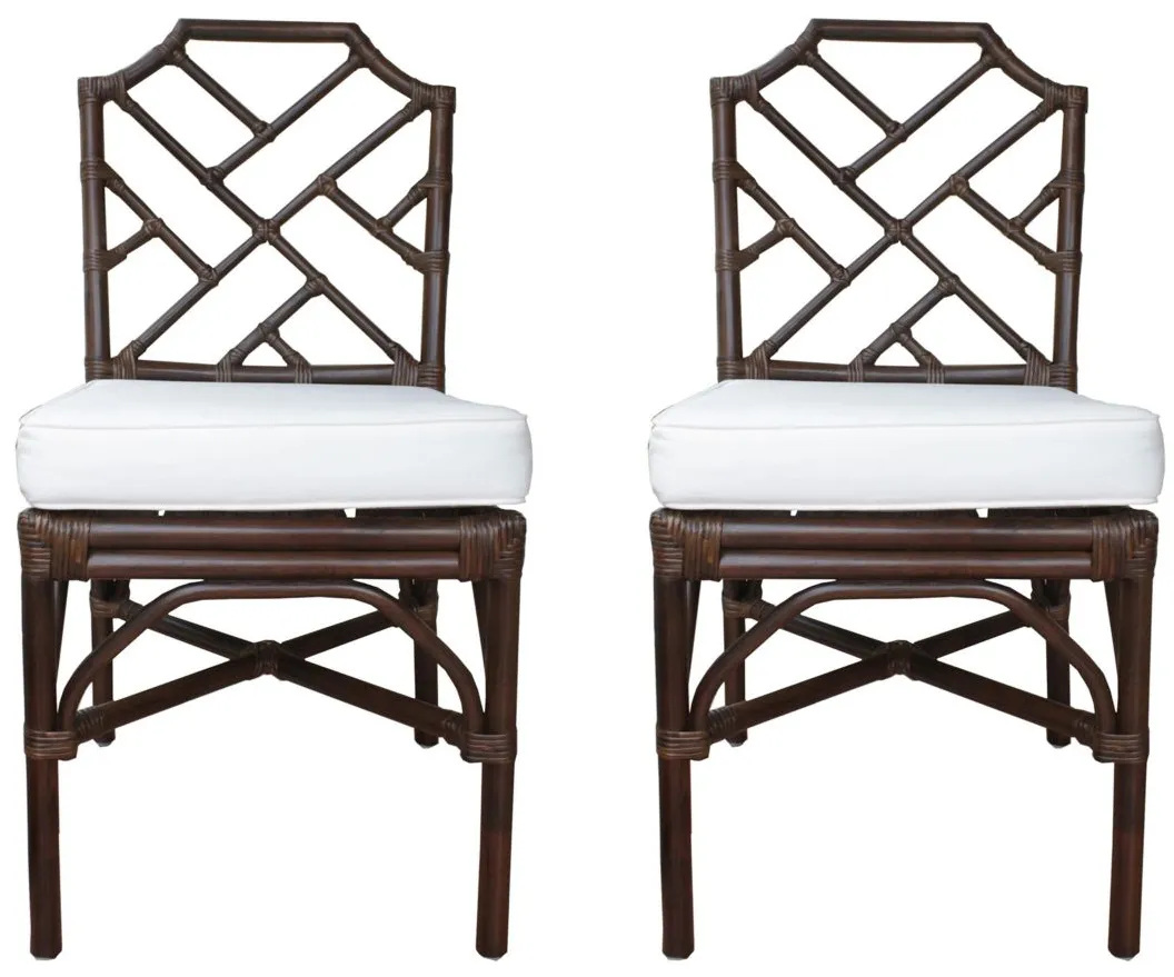 Kara Dining Chair: Set of 2 in Paloma Brown by New Pacific Direct