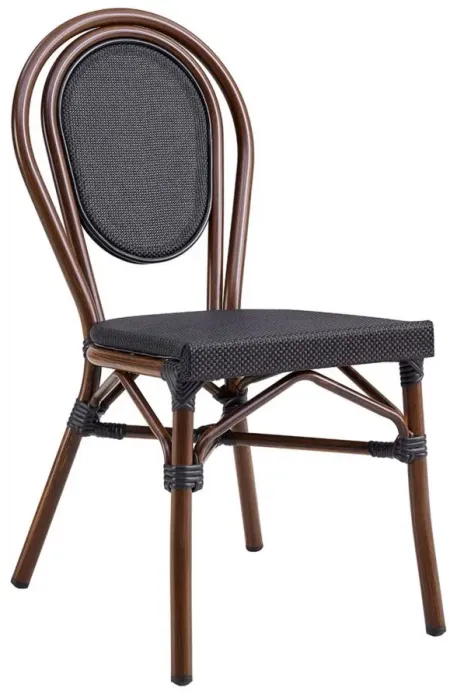 Erlend Side Chair in Black by EuroStyle