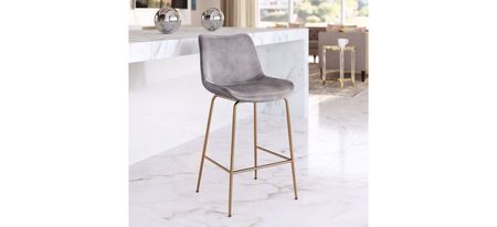 Tony Counter-Height Stool in Gray, Gold by Zuo Modern