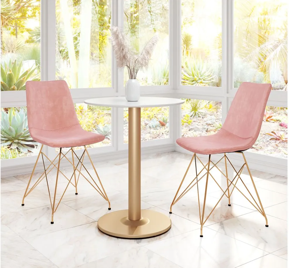 Parker Dining Chair (Set of 4) in Pink, Gold by Zuo Modern