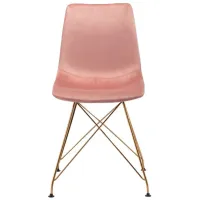 Parker Dining Chair (Set of 4) in Pink, Gold by Zuo Modern