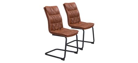Sharon Dining Chair: Set of 2 in Vintage Brown, Black by Zuo Modern