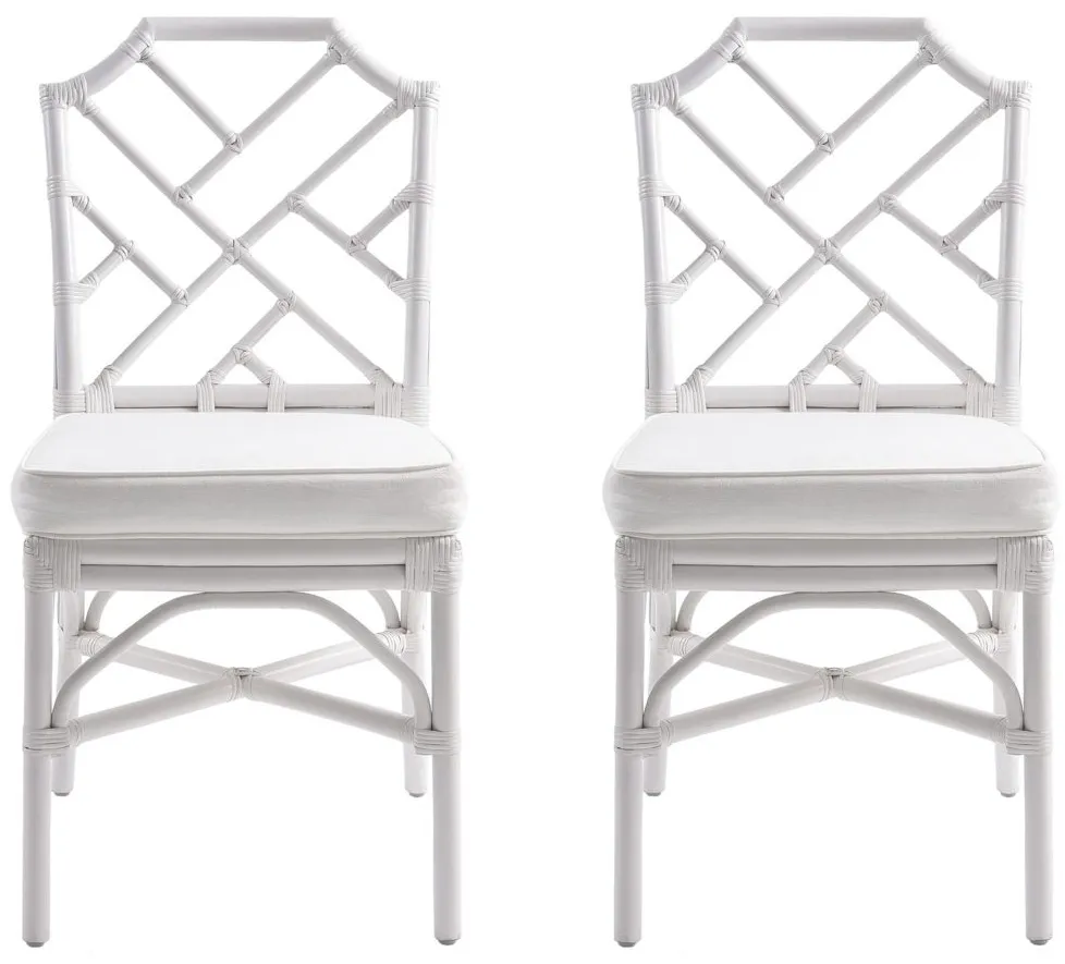 Kara Dining Chair: Set of 2 in White by New Pacific Direct