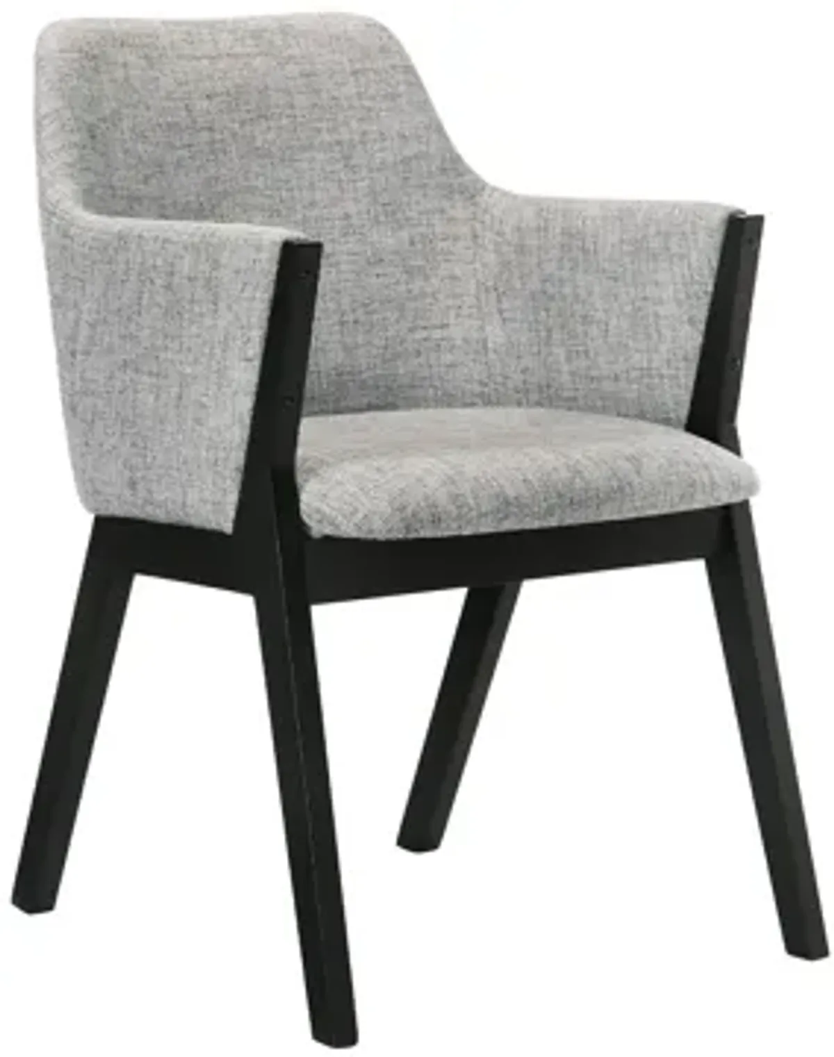 Renzo Dining Side Chairs - Set of 2