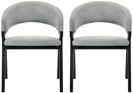 Talulah Dining Side Chairs - Set of 2 in Gray by Armen Living