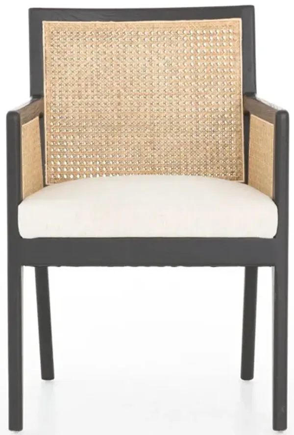 Antonia Dining Arm Chair