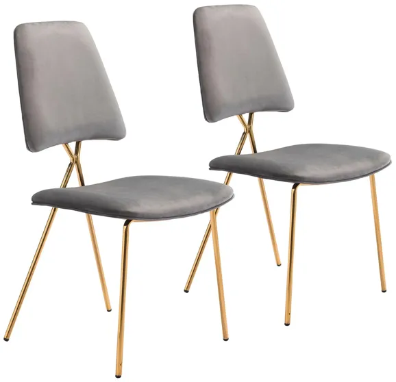 Chloe Dining Chair: Set of 2 in Gray, Gold by Zuo Modern