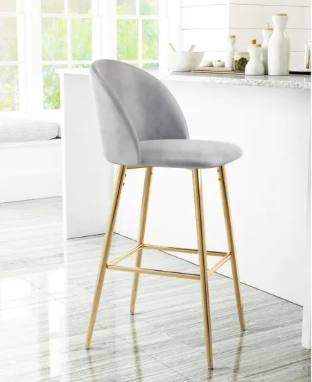 Cozy Bar Stool in Gray, Gold by Zuo Modern