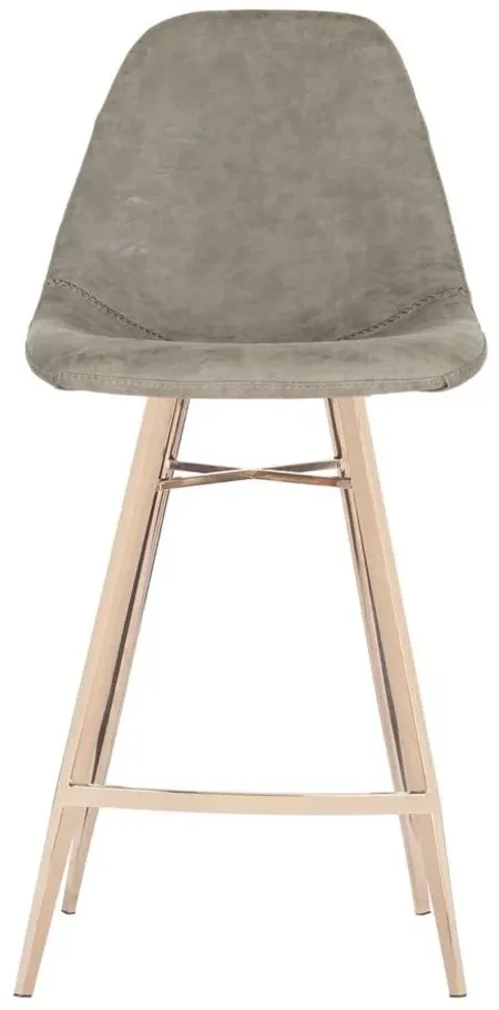 Breeda Counter Stool in Taupe by Safavieh