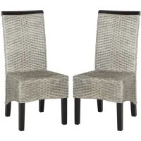 Ember Wicker Dining Chair - Set of 2 in Gray by Safavieh