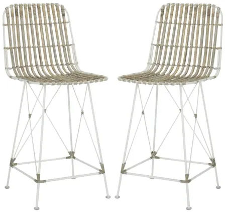 Kenzie Wicker Counter Stool - Set of 2 in White by Safavieh