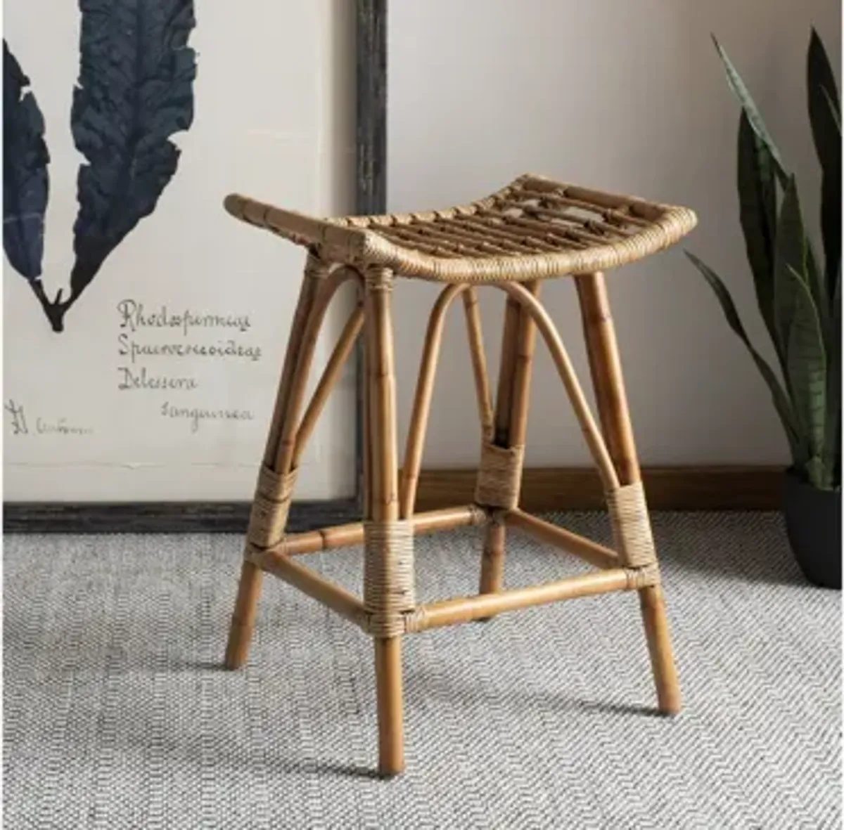 Emery Rattan Counter Stool in Brown by Safavieh