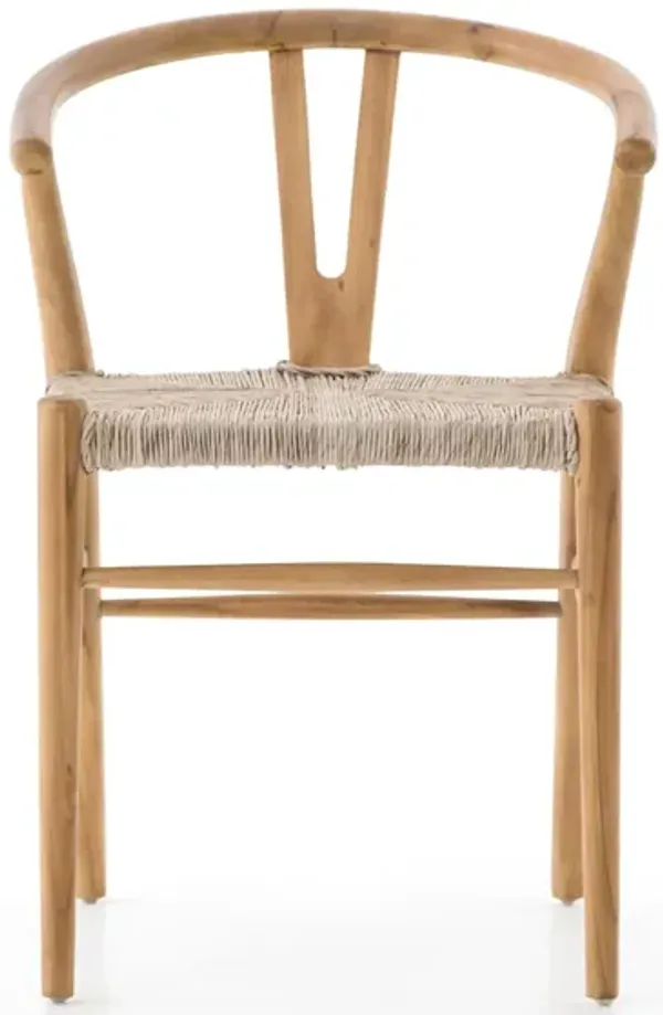 Muestra Dining Chair