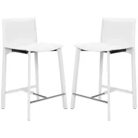 Michelle Counter Stool - Set of 2 in White by Safavieh