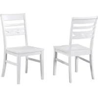 Bianco Side Chair: Set of 2 in White by ECI
