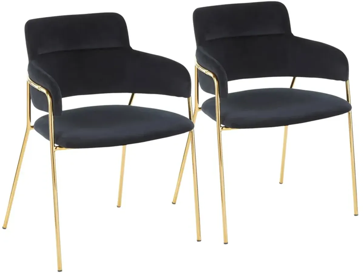 Napoli Dining Chairs: Set of 2 in Gold, Black by Lumisource