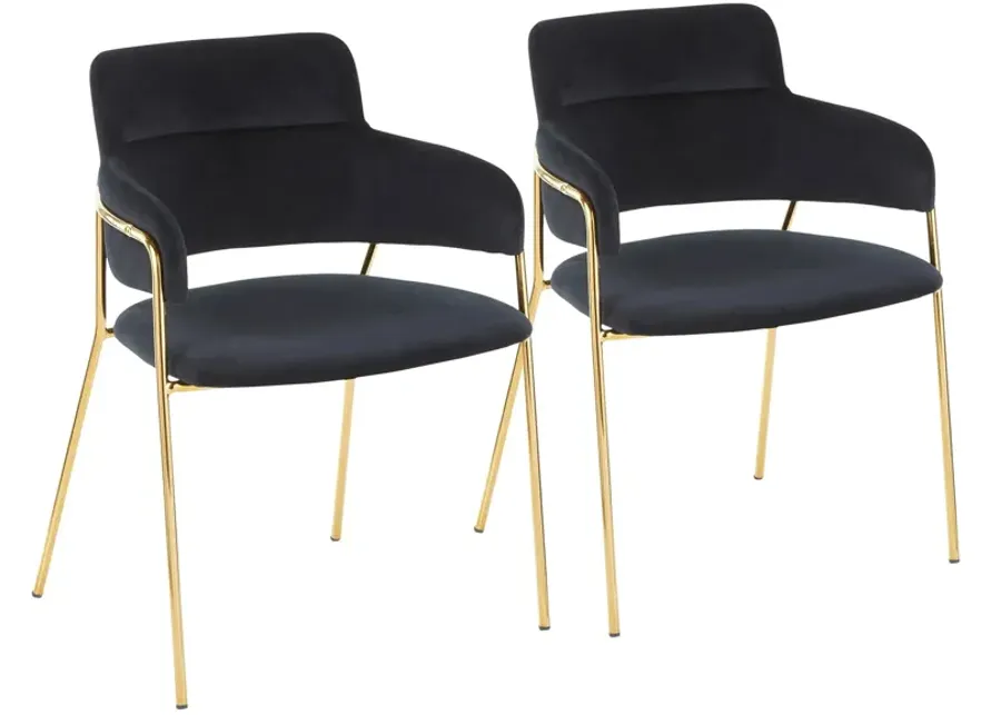 Napoli Dining Chairs: Set of 2 in Gold, Black by Lumisource