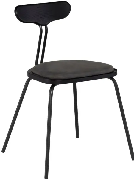 Dayton Dining Chair in STORM BLACK by Nuevo