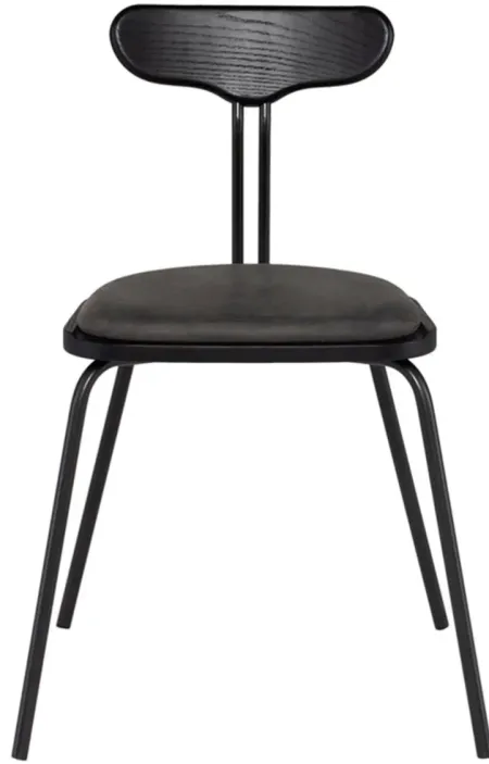Dayton Dining Chair in STORM BLACK by Nuevo
